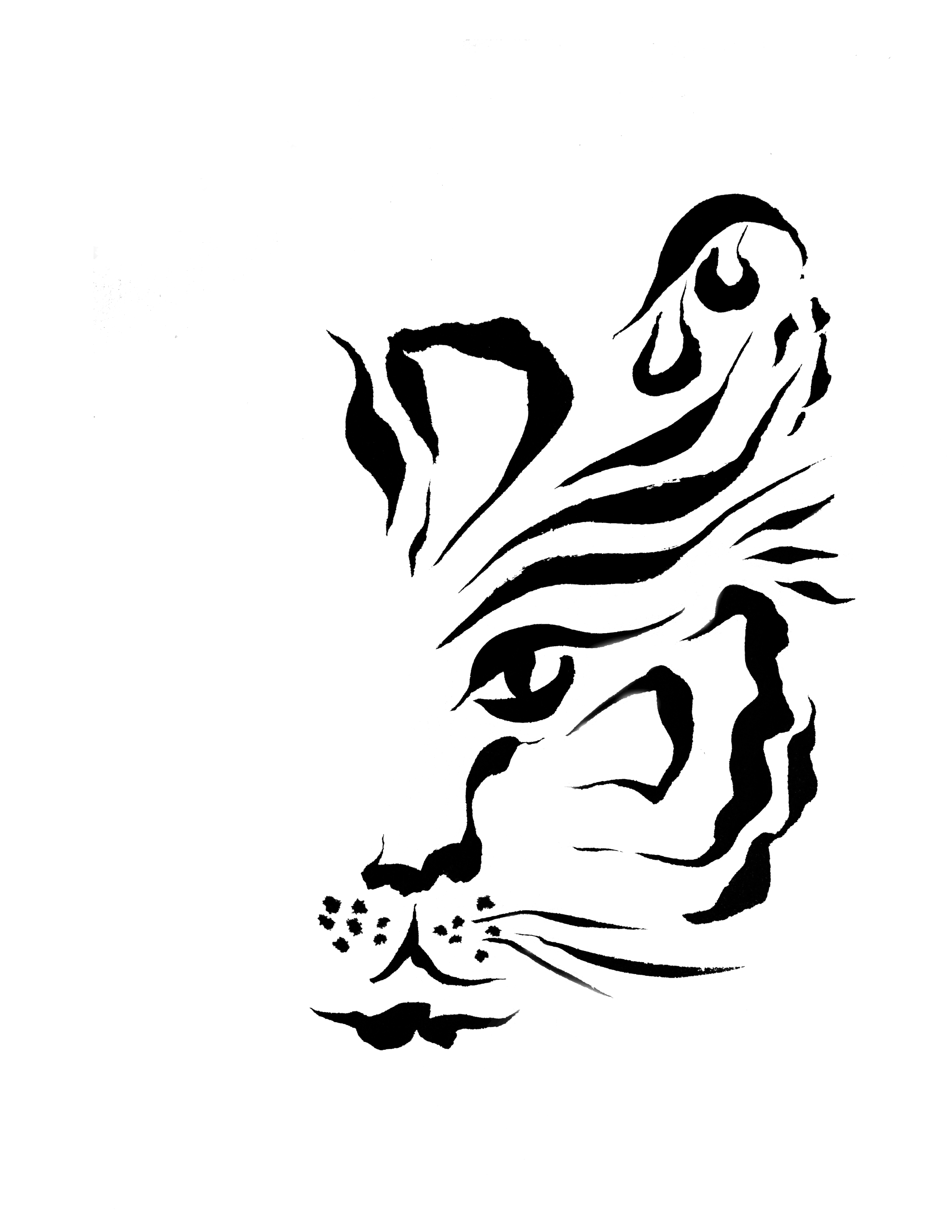 2550x3300 Tiger's Eye Cedar Writes