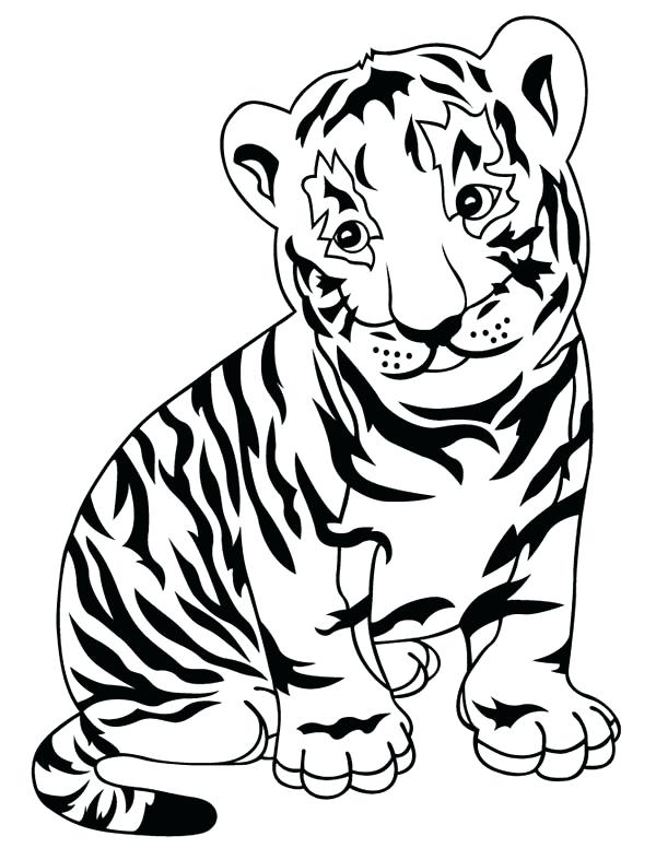 600x776 Tiger Pictures To Color Tiger Color Pages Coloring Printable Ideas