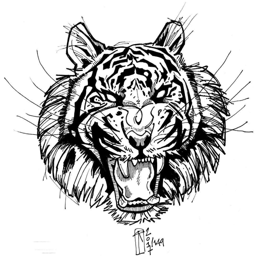 Tigers Eye Drawing at GetDrawings | Free download