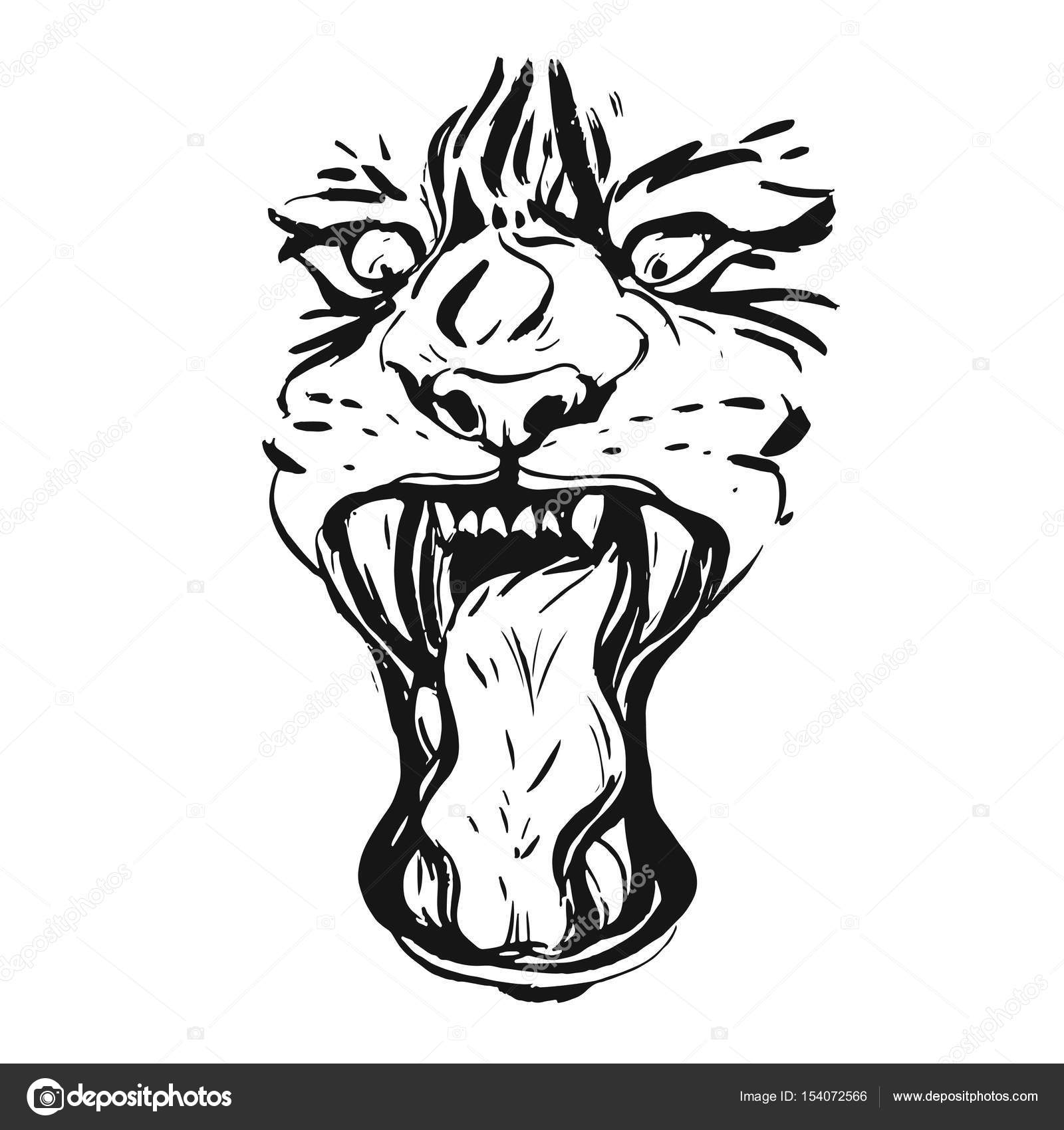 1600x1700 Hand Drawn Vector Realistic Ink Graphic Drawing Of Anger Tiger