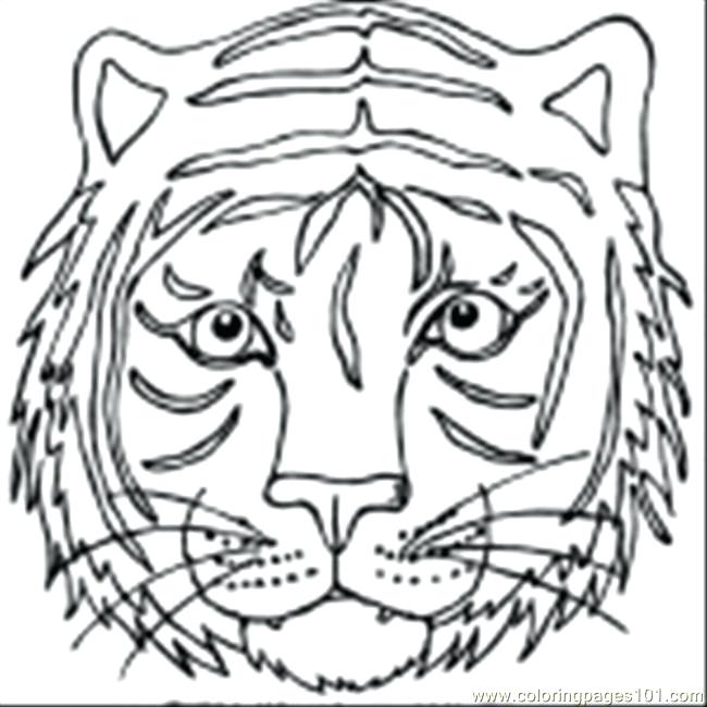 650x650 Siberian Tiger Coloring Page A Realistic Drawing Of Tiger Coloring