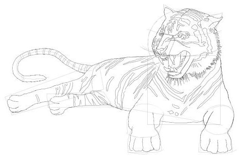 500x332 Tiger Drawing Free Drawing Lessons.