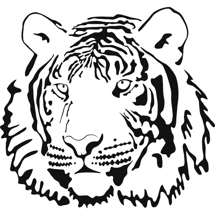 736x736 Tiger Face Coloring Page 2