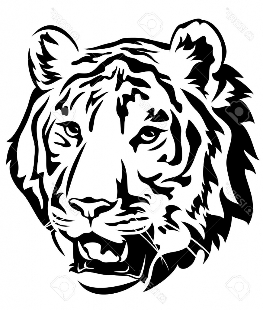 Tigers Face Drawing at GetDrawings | Free download