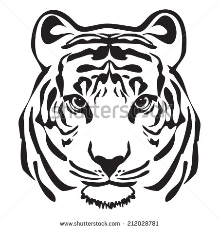 450x470 Tiger Realistic Drawing Stock Images Royaltyfree Images 9989216