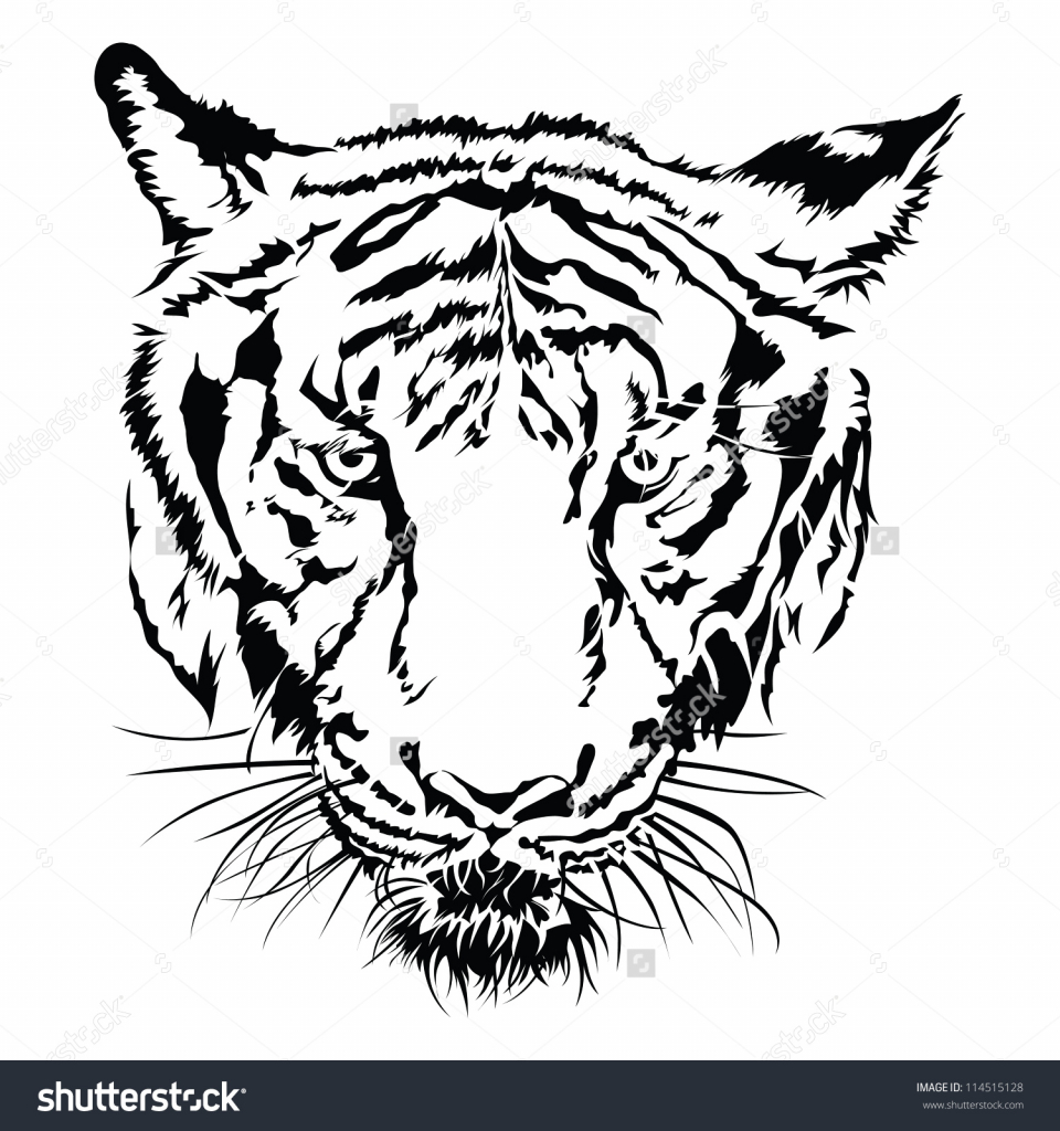 960x1024 Drawing A Tiger Face Ideas Tiger Drawing Tigers And Drawings