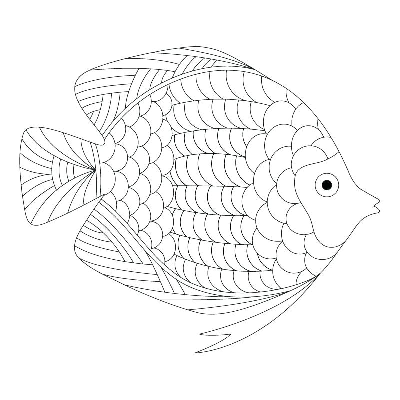 800x800 Inspirational Printable Fish Coloring Pages Online