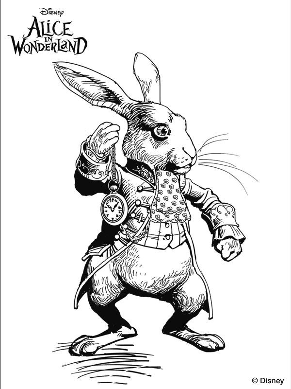 600x800 799 Best Alice In Wonderland Images On Wonderland