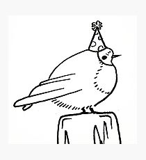 210x230 Bird Meme Drawing Photographic Prints Redbubble