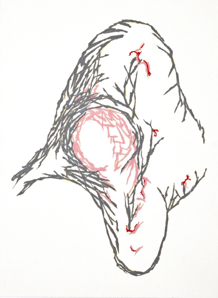 704x959 Roya Farassat Works On Paper Tape Drawings 2009 2014