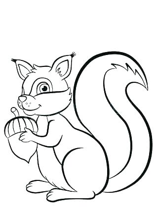 318x450 Picture Of A Squirrel To Color Squirrel Template Plan Cover
