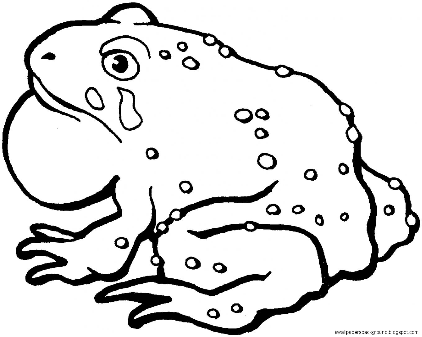 1360x1086 Toad Drawing Wallpapers Background