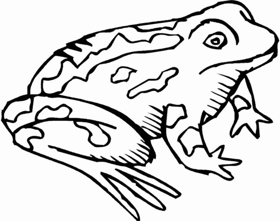 970x765 Coloring Pages Gorgeous Coloring Pages Draw A Toad In Mario Kart