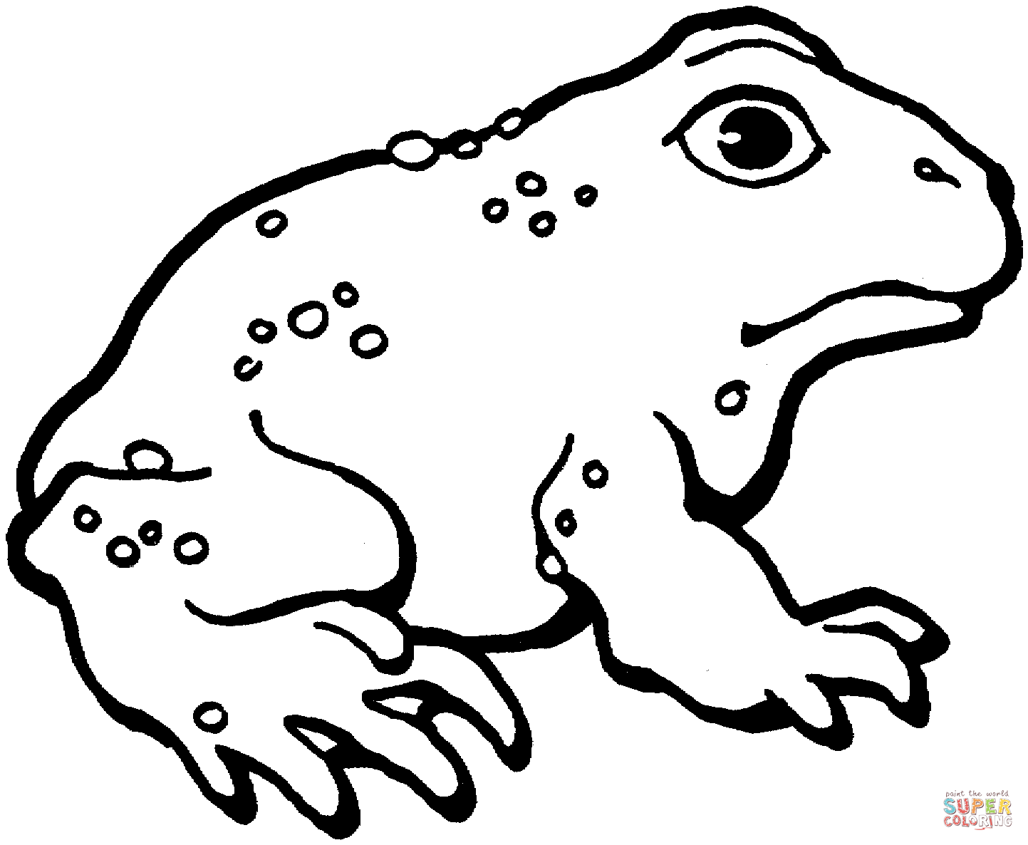 1443x1186 Surprising Ideas Toad Outline American 3 Coloring Page Free
