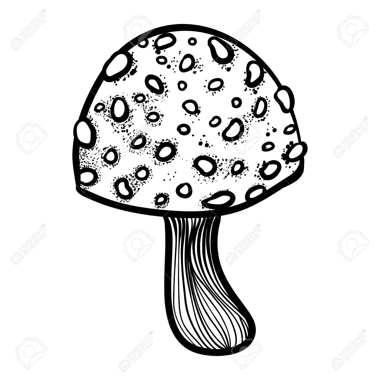 1300x1300 Cool Art With Mushroom. Vector Illustration With Line Art