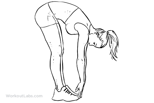 540x360 Ragdoll Forward Bend Fold Stretch Toe Touches Workoutlabs