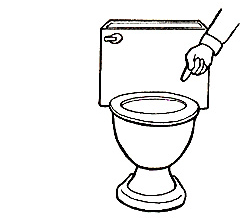 250x220 Welcome To Dc Water For Kids!