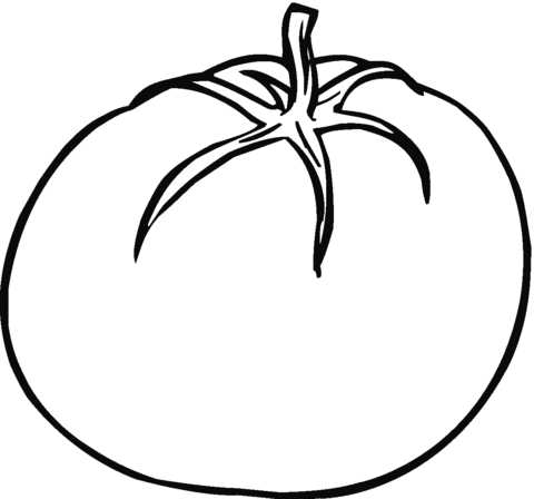 480x448 Tomato 4 Coloring Page Free Printable Coloring Pages