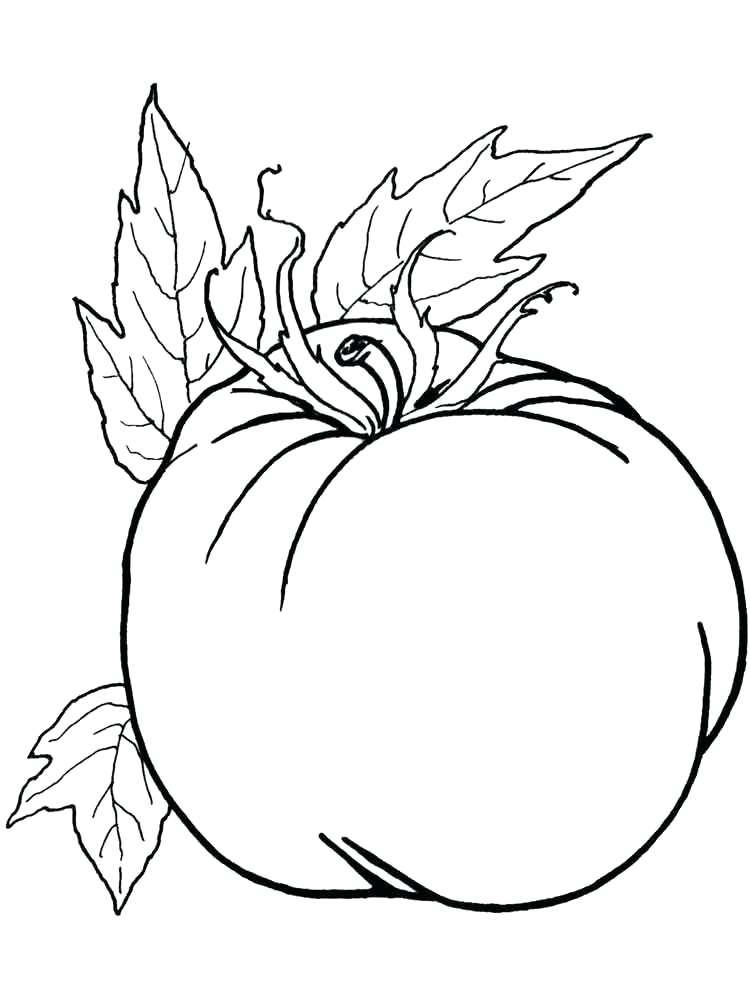 750x1000 Coloring Pages Of Vegetables Vegetables Tomato Coloring Page