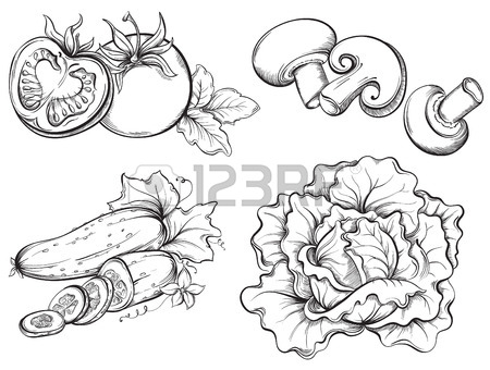 450x340 Sketch Line Drawing Of Tomato Isolated Illustration On White