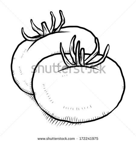 450x470 Drawn Tomato Black And White
