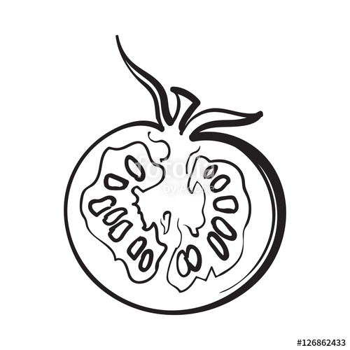 500x500 Sketch Style Drawing Of Ripe Half Tomato, Vector Illustration