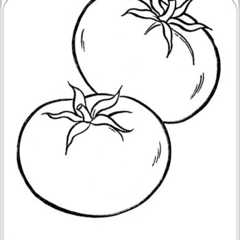 350x350 Drawn Tomato Coloring Page