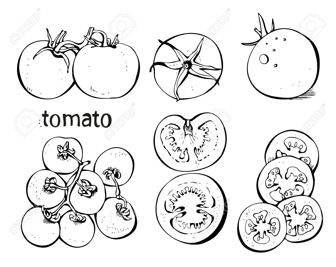 Tomato Slice Drawing at GetDrawings.com | Free for personal use Tomato