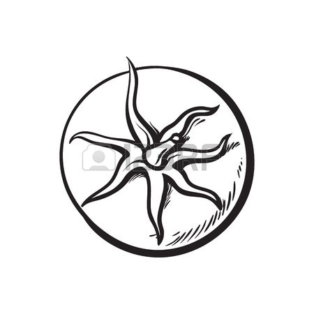 450x450 Sketch Style Drawing Of Ripe Tomato Slice, Vector Illustration