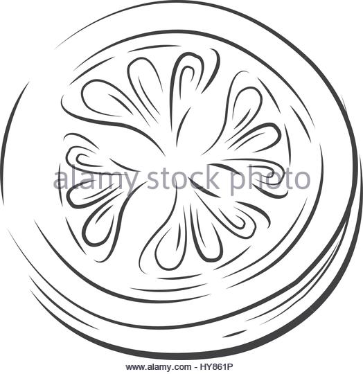 524x540 Sliced Tomato Stock Vector Images