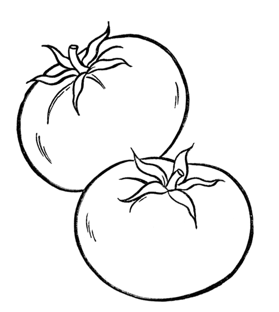560x625 Dazzling Tomato Coloring Pages Healthy Vegetables Page Kids