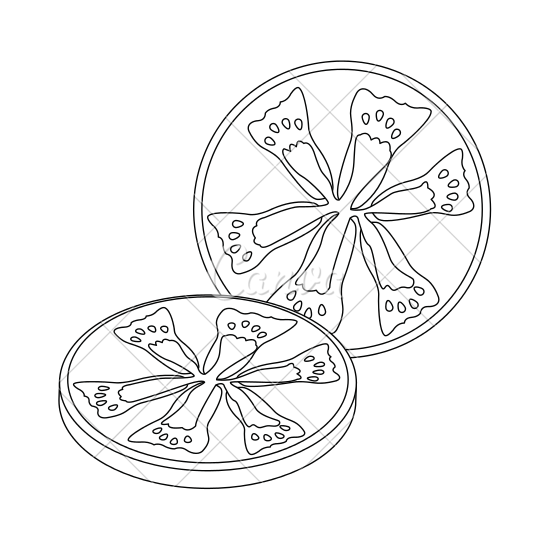 550x550 Tomato Slice Vegetable Icon