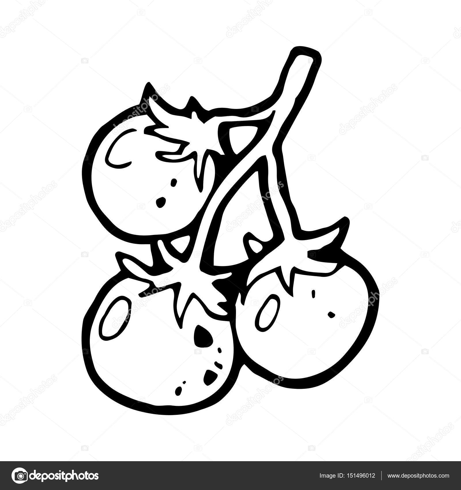 1600x1700 Hand Drawn Tomatoes Stock Vector Everydaytemplate