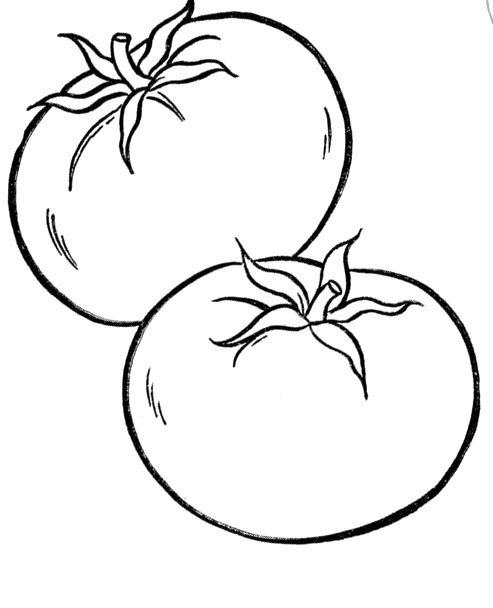 493x608 Healthy Tomato Vegetables Coloring Pages Theme Food Group