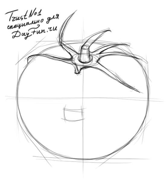 550x622 How To Draw A Tomato Step By Step 3 Crafts Paintings