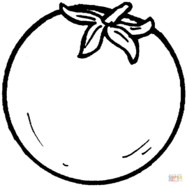 268x268 Coloring Book Page Tomato Kids Drawing And Coloring Pages