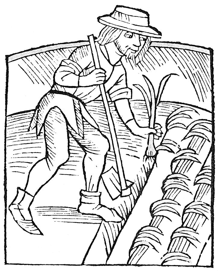 723x900 Farm Tool Drawings Fine Art America