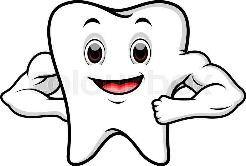 800x540 Illustration Of Strong Tooth Cartoon Stock Vector Colourbox