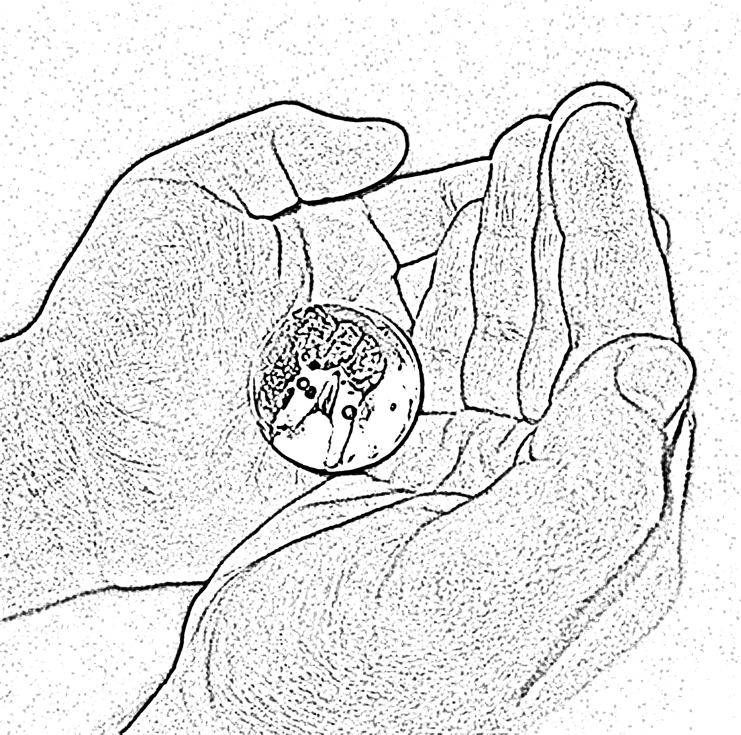 2400x2381 Tooth I.d. Form Tooth Fairy Marbles