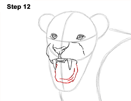 500x386 How To Draw A Lion Roaring