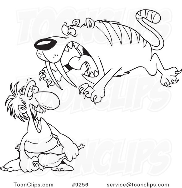 581x600 Cartoon Black And White Line Drawing Of A Saber Tooth Tiger