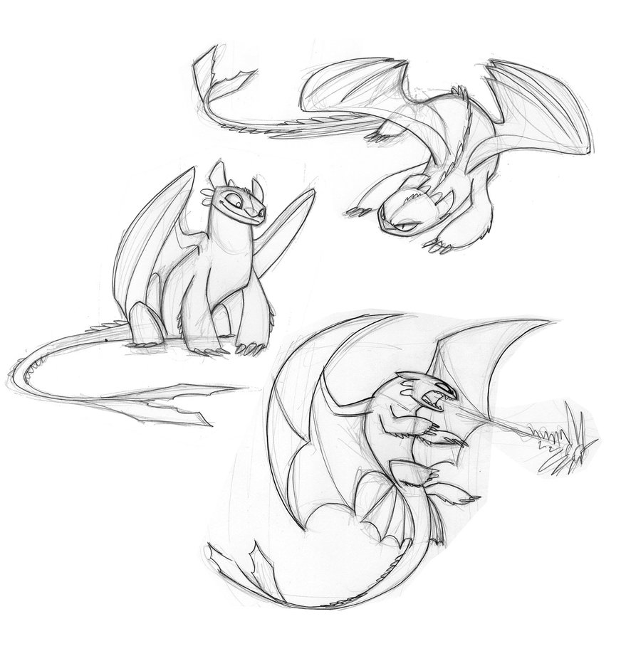 879x908 Toothless Sketches By Enolianslave