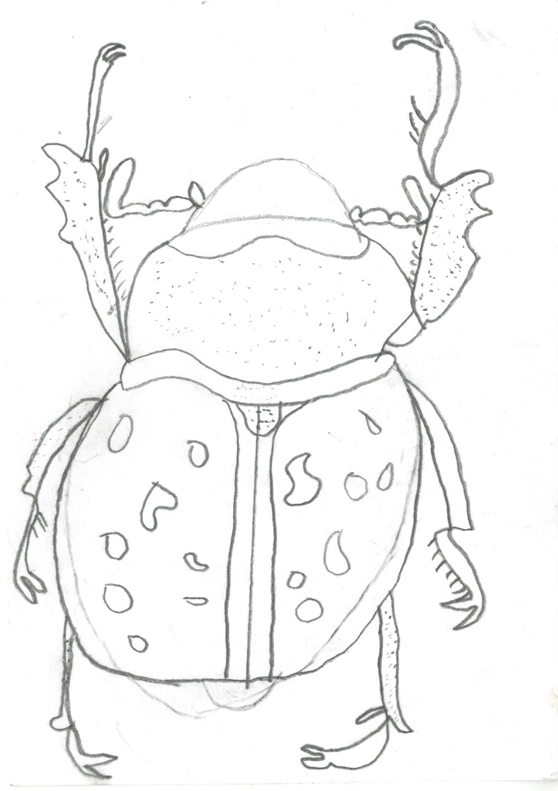 1128x1600 Lw1 Mini Beasts