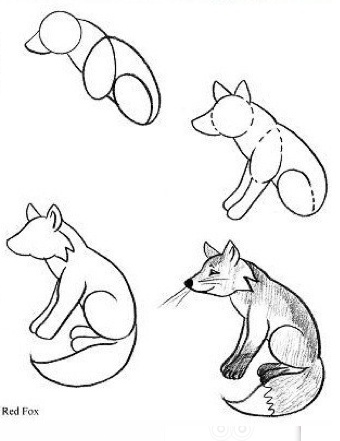 340x441 34 Best Drawing Images On Drawing Ideas, Animal Design
