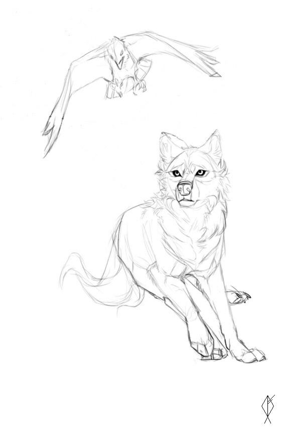 564x849 426 Best Wolf Images On Animal Drawings, Drawing Ideas