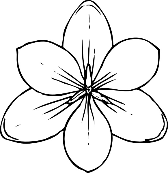 582x600 Crocus Flower Top View Clip Art Free Vector In Open Office Drawing