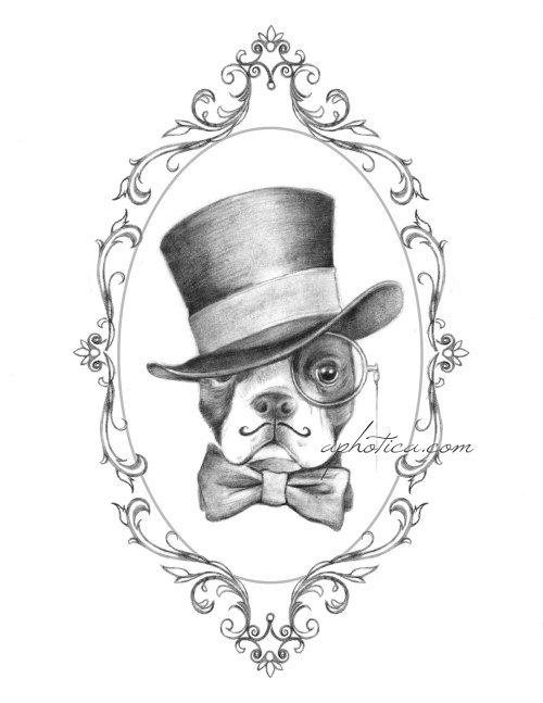 500x647 Boston Terrier Gentleman In Top Hat And Bow Tie By Aphotica