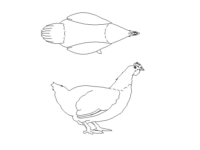 640x480 Hens Top View And Vertical View Cad Blocks Dwg And Drawings