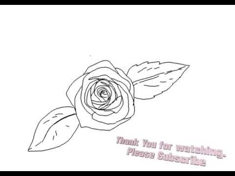 480x360 How To Draw A Beautiful Rose Flower Top View