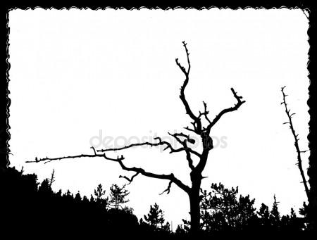 450x341 Cartoon Wood Sign With Wanted On Torn Paper Stock Vector